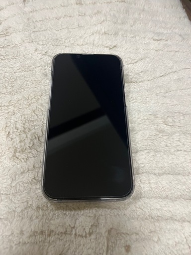 iPhone13 Pro 256GB 