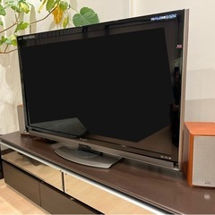 【ジャンク品】SHARP世界の亀山