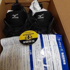 MIZUNO安全靴黒👟の画像
