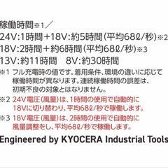 BURTLE バッテリー 新品未開封の画像