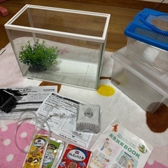金魚飼育セット(問い合わせ多すぎるので、他の掲載品購入してくたさ...