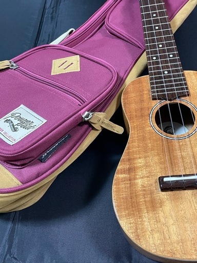 島村楽器オリジナルウクレレ　傷ナシ　オシャレな女性に！COTONE CS5SL