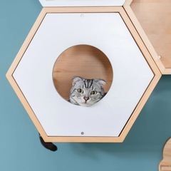 【キャットステップ】MYZOO-六角ハウス の画像