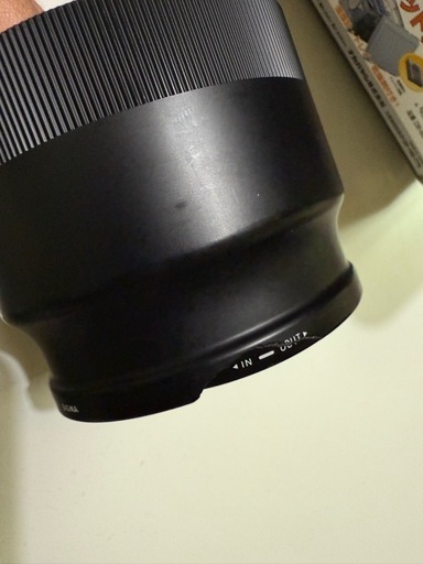 SIGMA 100-400mm F5-6.3 DG DN フルサイズEマウント