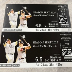 6/5 シーズンシート2025 ペアチケット  