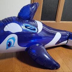 イルカボート