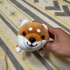 ぬいぐるみ