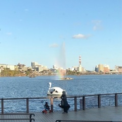 ぼっちランナー募集