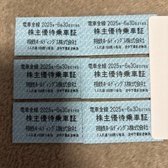 相鉄　株主優待乗車証　相鉄線　乗車券　　