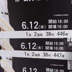 野球チケット