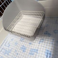 うさぎ飼育セットの画像