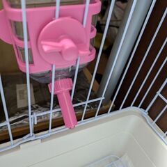 うさぎ飼育セットの画像