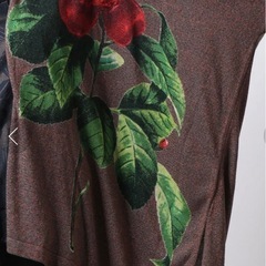 　　美品　Desigual デジグアル　カーディガン   の画像