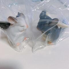 チンチラ 祈り ばいおれっと&ルシファーの画像
