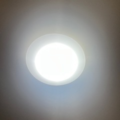 シーリングライト　12畳の画像