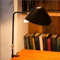 IDEEランプ　照明　セルジュ・ムーユの画像