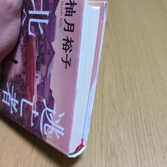 書籍　逃亡者は北へ向かうの画像