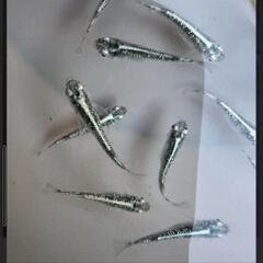 めだか　緑光黒百式、三色、竜章　卵　の画像