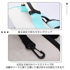*可愛い★ ペットキャリー 軽量 ポケット 耐荷重12kg グレー 他カラー有の画像