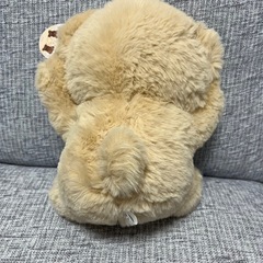 TAITO限定 ポージング くまさん ぬいぐるみ の画像