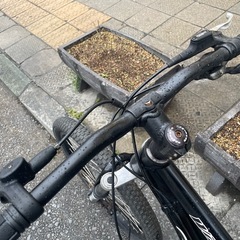 SALE 30％』 GIANT LIV 700x28c フレーム アルミ