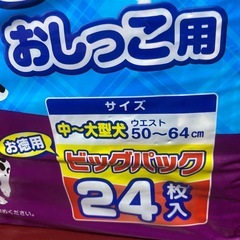 ペット用　マナーおむつ　男の子用　中〜大型犬の画像