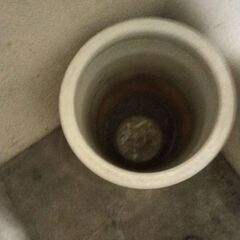 傘立ての画像