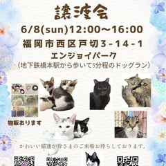 さち猫福岡譲渡会　エンジョイパーク（はっぴいすまいる）