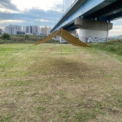 レクタタープの画像
