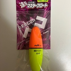 〈値下げしました❗️〉アキアジ ウキルアー用 フロート