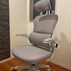 エルゴチェアの画像