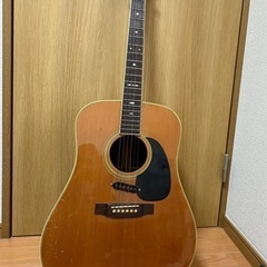 キャッツアイズ　アコースティックギター