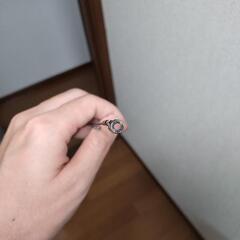 【美品】ポイズングロリアス 2511ULの画像