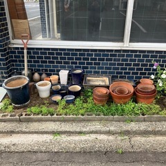 植木鉢　　0円