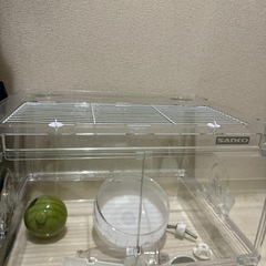 ハムスター飼育セット