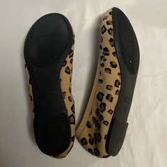 バレーシューズ ヒョウ柄 25.0cm ニット レディースの画像