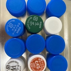 ペットボトルの蓋10個