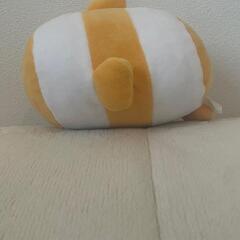 ぬいぐるみの画像