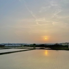 袋井市で一緒にウォーキングしてくれる女性を募集