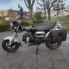 ダックス125cc　JB06の画像