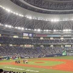 キャッチボール相手募集