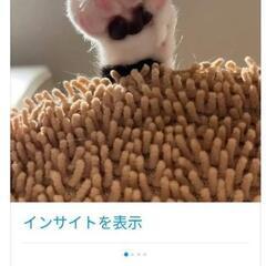 はなそう。