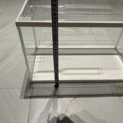 水槽セット アクアリウム の画像