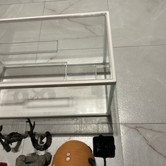 水槽セット アクアリウム の画像