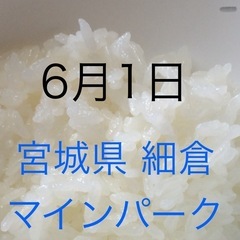 ひとり親限定！無料！お米プレゼント企画！玄米精米済み！▲宮城県細...