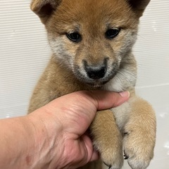 問い合わせ多数のため　一旦受付ストップします。 − 岐阜県