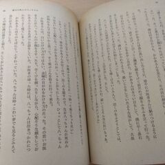 『一房の葡萄』有島武郎　岩波文庫の画像