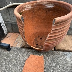 テラコッタ大鉢