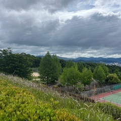 ソフトボール