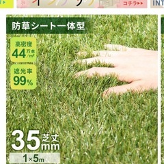 人工芝